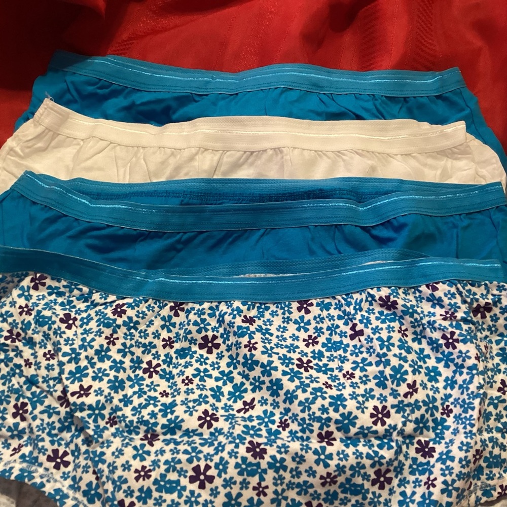 4 brand new Fruit of the Loom size 10/3X women tag free cotton briefs - Picture 2 of 4